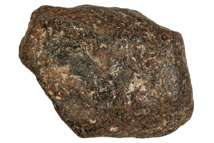 Agoudal Iron Meteorite ( g) - Morocco #288903
